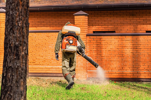 Bed Bug Clearance Verification and Documentation in Happy Valley